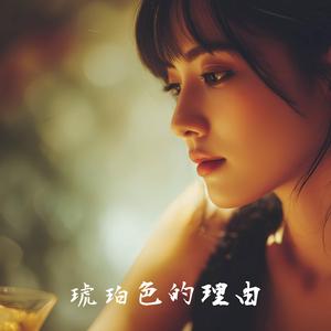 琥珀色的理由