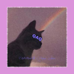 QAQ