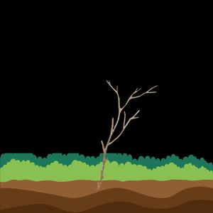 sticks