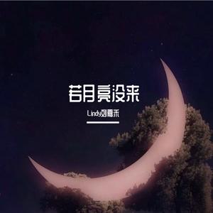 若月亮没来【女声独唱版】
