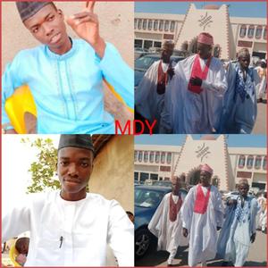 Sarkin Minna