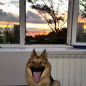 школа