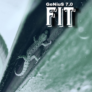 Fit