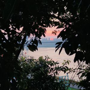 一直很安静1725784022377_20240908_164353