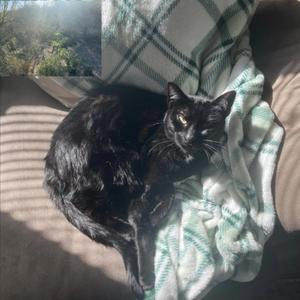 î̈ dont likê̈ this namě̈ (feat. iMMOtURE)