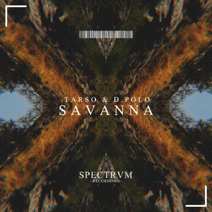 Savanna (Original Mix)