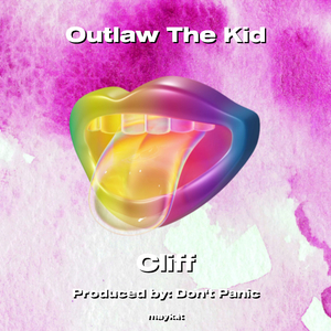 Outlaw The Kid