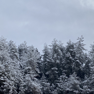 那么疼你那么爱你