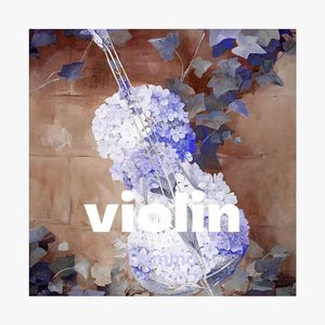 violin