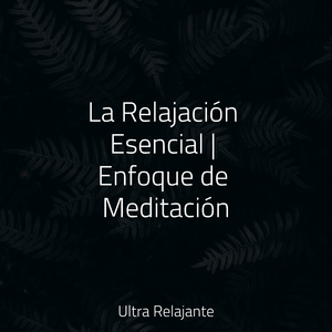 Llevado Por La Brisa