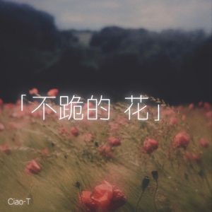 不跪的花（沧桑版）