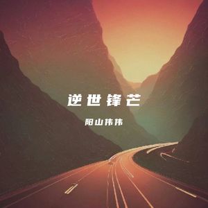 逆世锋芒(DJ版）