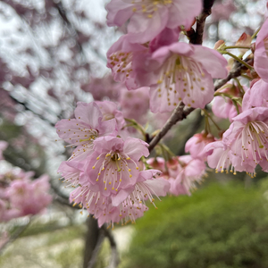 你可以故地重游不可以回到过去