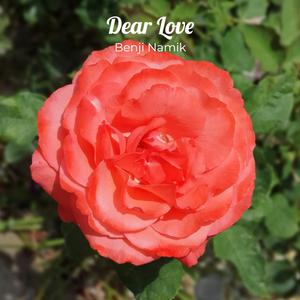 Dear Love