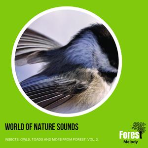 Fearless Toad Chorus