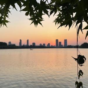 董小姐