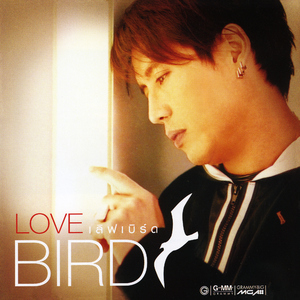 ถ่านไฟเก่า