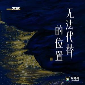 无法代替的位置