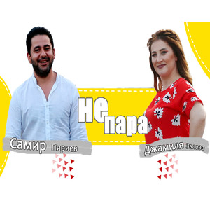 Не Пара