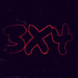 3X4