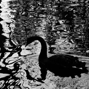 【女声翻唱】昔涟