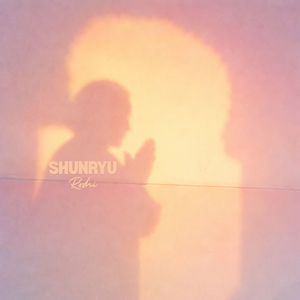 Dimness That Reveals