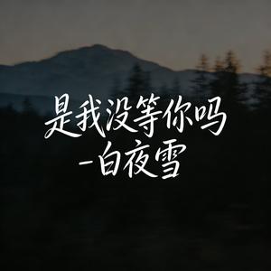 是我没等你吗