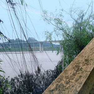 一次醉酒独行有感