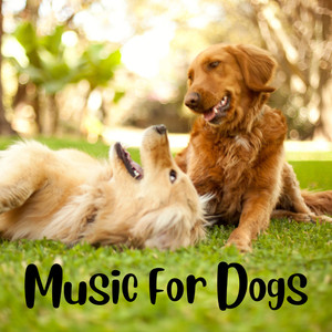 Music For Dogs