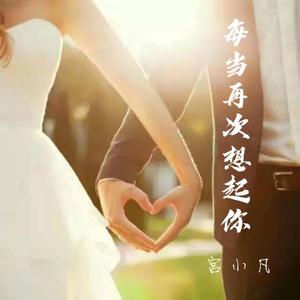 每当再次想起你