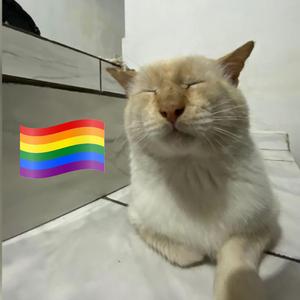 Edgard assumiu que é gay