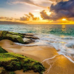 现在爱不爱都不重要了