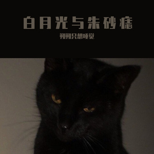 白月光与朱砂痣