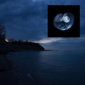 always breaking, always healing