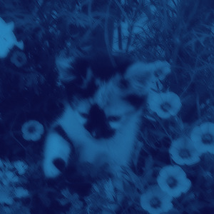 Crushxi! (slowed + reverb)