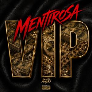 Mentirosa Vip