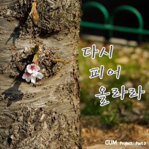 다시 피어 올라라