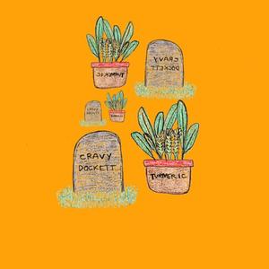 Turmeric