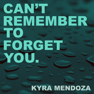 Can't Remember to Forget You (Karaoke Acoustic Edit Originally Performed by Shakira)