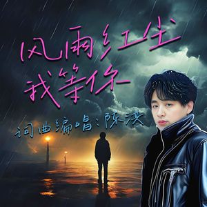 风雨红尘我等你