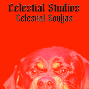 Celestial Souljas [Bonus Track] (feat. JR Scoop, NR Cliff, Capalot & 50k)