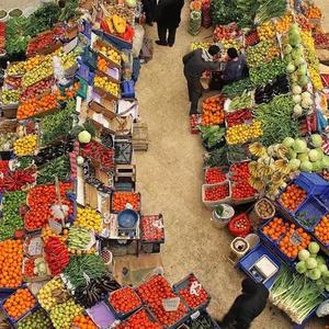 《我一生只能遇见你一次》