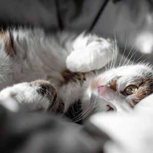 莫名其妙（BGM版）