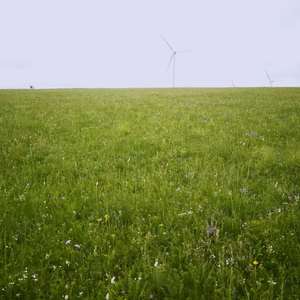 富士山下的乌兰巴托