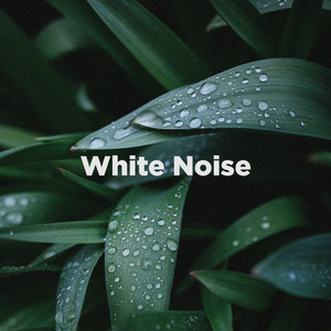 White Noise Rain, Pt. 08