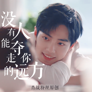 没有人能夺走你的远方（肖战粉丝原创）