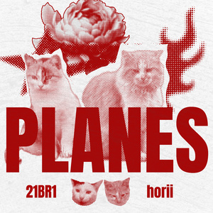 PLANES