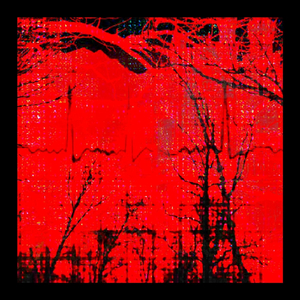 Bump Bump Bump!!! (feat. Bassgirl Nior & iilith)