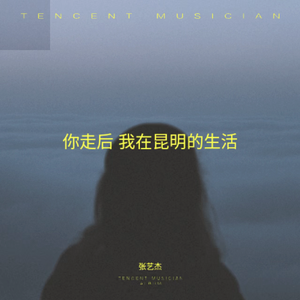 你走后 我在昆明的生活