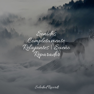 Rocío Sobre El Musgo